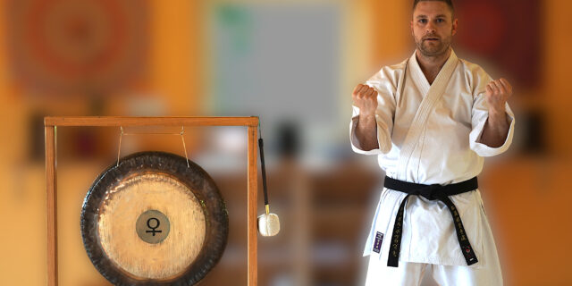 dalibor pavlović - karate akademija